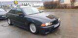 BMW e39 523i - BMW 523 aus 2000: 523i
