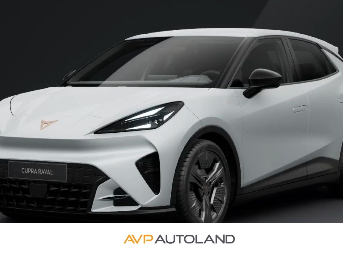 Cupra Andere - Bild 1