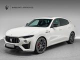 Maserati Levante Modena S Ultima PANO + 1. HAND - Maserati Gebrauchtwagen von 2024