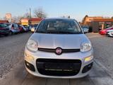 Fiat Panda Lounge Sportsitze Sport Lenkrad - Fiat Panda: Sport