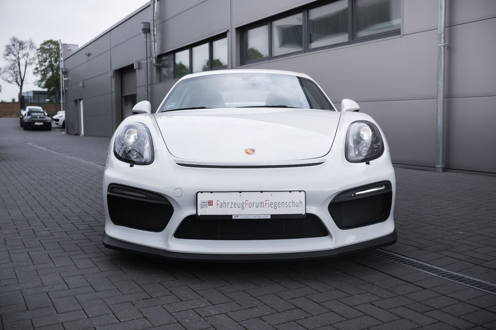 Fahrzeugabbildung Porsche Cayman GT4-Sport-Chrono-Approved-PCM