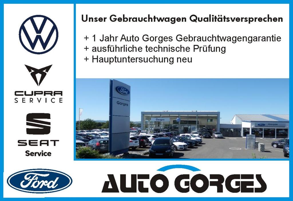 Volkswagen Golf 16