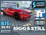 Ford Mustang 5.0 V8 GT Convertible XENON*SHZ*SITZKLIM - Ford Mustang: Rot, Cabrio