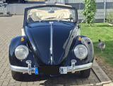 Volkswagen VW Käfer Cabrio H Kenz. Baujahr 1970  - aus 1970: Cabrio