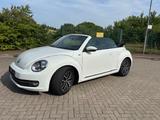 Volkswagen Beetle Cabriolet Allstar Navi/PDC/Windschott - Volkswagen Beetle in Essen