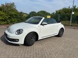 Volkswagen Beetle Cabriolet Allstar Navi/PDC/Windschott - Volkswagen Beetle: Allstar