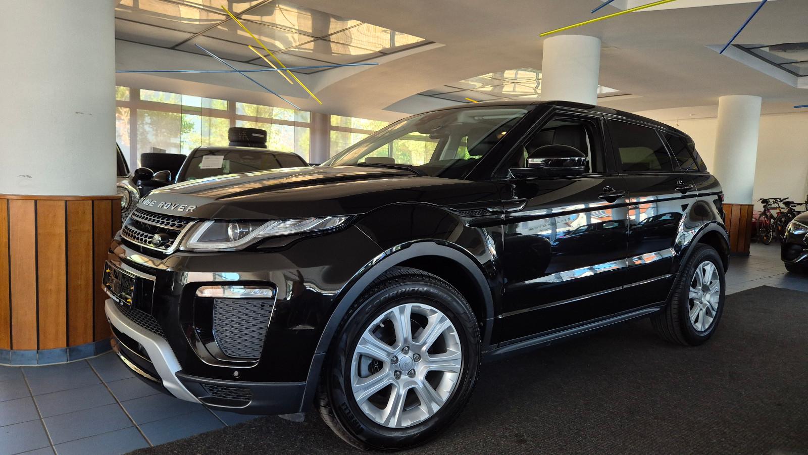 Land Rover Evoque SE Dynamic/Leder/Pano/RFK/SHZ/Temp