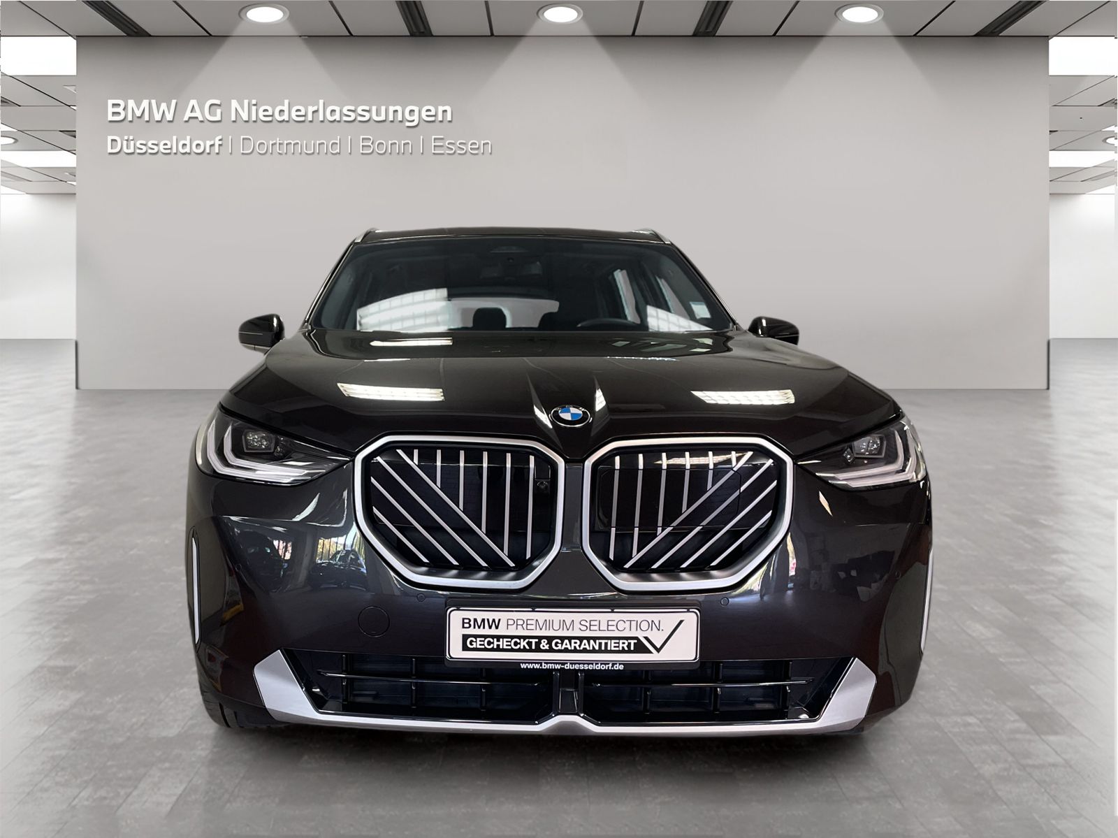 BMW X3 - Bild 8