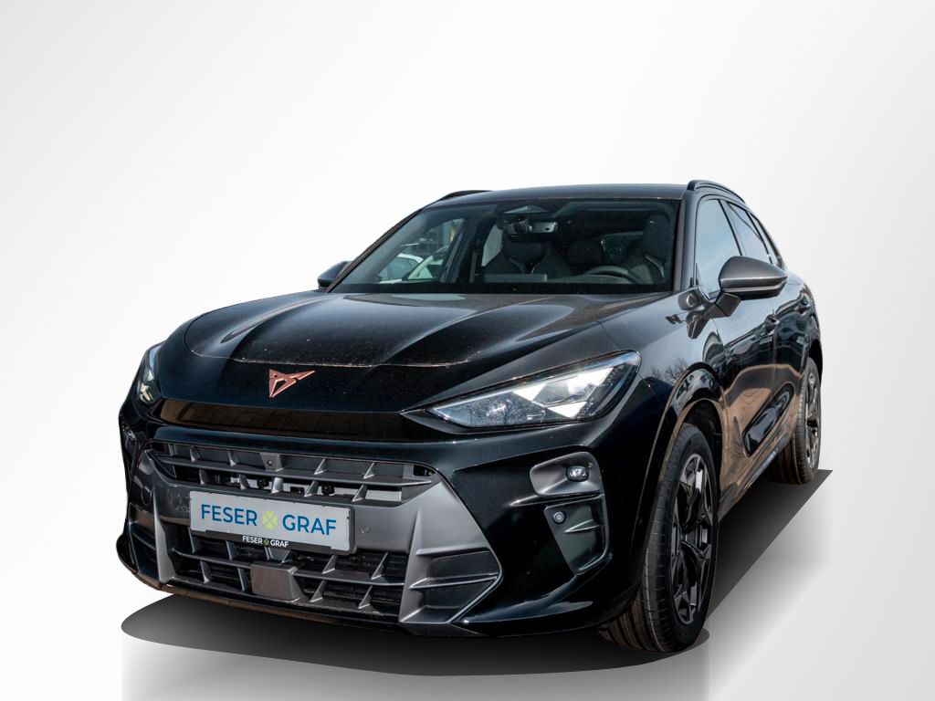 Cupra Terramar - Bild 11