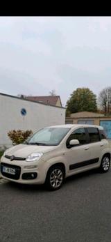 Fiat PKW FIAT/PANDA - gebrauchte Fiat Panda aus dem Jahr 2016
