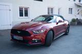 Ford Mustang Cabrio 2.3 EcoBoost - Ford Mustang: Ecoboost