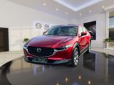 Mazda CX-30 Head up Display, 360° Kamera, Navi - Mazda CX-30 in Hannover