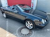 Mercedes-Benz CLK 230 Kompressor Avantgarde Cabrio TÜV 6... - Mercedes-Benz CLK 230 in Düsseldorf