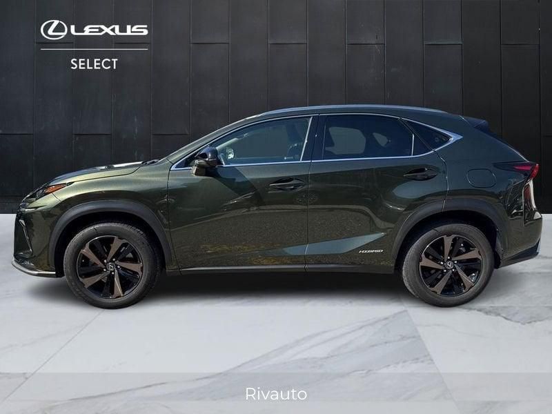 Lexus NX 300 h 2.5 Premium 4wd cvt imagem 3
