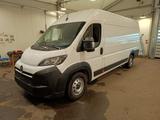 Opel Movano Kasten 35 L4H2 BlueHDI 180*KAMERA*NAVI* - gebrauchte Opel Movano aus dem Jahr 2024