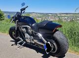 Harley-Davidson V-Rod Muscle, Top Zustand, Viele Umbauten 