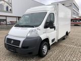 Fiat Ducato Verkaufswagen Borco-Höhns Bäckerei - Verkaufswagen
