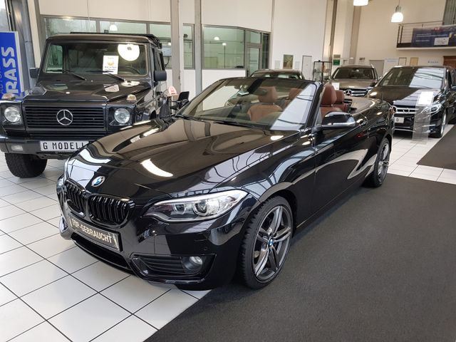 BMW 218 CABRIOLET AUTOMATIK XENON LEDER