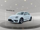 Volkswagen Beetle Sport BMT110kw TSI DSG *BiXenon*NAVI*RFK* - Volkswagen Beetle: Weiß
