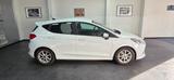 Ford Fiesta ST-Line 93.000km WR+SR Navi TÜV 12/2027 - Ford Fiesta: 2.0