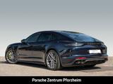 Porsche Panamera 4 E-Hybrid Platinum Edition Panorama - Porsche Panamera: Platinum Edition