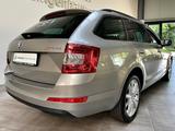 Skoda Octavia Joy Canton Navi Panorama Xenon DCC - Skoda Octavia in Wuppertal