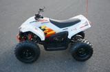 CFMOTO CF Moto CForce EV 110  / ELEKTRO  Kinder Quad - CFMOTO CFORCE 110