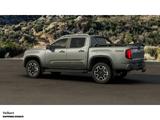 Volkswagen Amarok 3.0 TDI PanAmericana - VW Amarok in Wuppertal