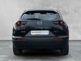 Mazda MX-30 EXCLUSIVE-LINE e-SKYACTIV KAMERA+SHZ+KLIMA - Mazda MX-30 Tageszulassungen
