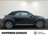 Volkswagen Beetle Cabriolet 1.2 TSI SOUND 17 ZOLL NAVI SHZ  - Volkswagen Beetle: Sound