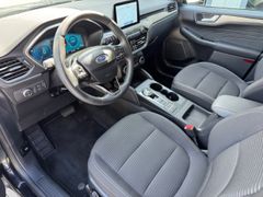 Fahrzeugabbildung Kuga Titanium 1,5 EcoBlue 1.Hand/Kamera360/Winte