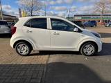 Kia Picanto Edition 7 1.0 SHZ LHZ BT Allwetter - Kia Picanto in Oldenburg