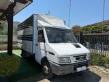 Iveco FIAT IVECO TRASPORTO ANIMALI - Iveco aus 1996