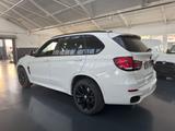 BMW X5 Baureihe X5 M50 d ALLE 3 TURBOLADER ERNEUERT - BMW: Weiß, 3er