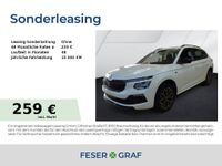 Skoda Kamiq - Vorschau Bild 1