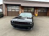 Dodge 5.7L V8*AUTO-*NAVI*LEDER*XENON*LED*SERVICE NEU - Dodge Challenger: X