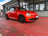 Volkswagen Beetle 1.8 TSI Sport Cabriolet/SHZ/TEMP./EU6 - Volkswagen Beetle: Sport