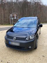 Volkswagen Caddy Maxi * Roncalli Edition *... - Volkswagen Caddy Maxi: Roncalli