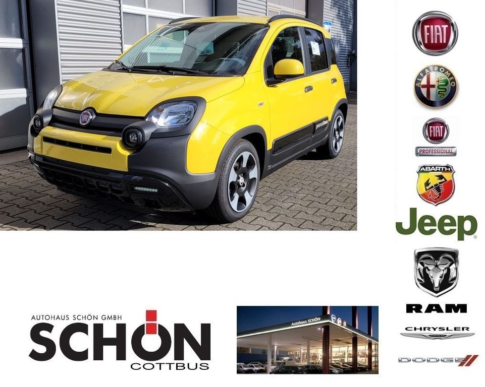 Image of Fiat Panda