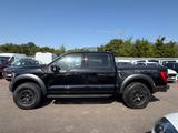 Ford F 150 Raptor 37 Package*US-Import*DE Zulassung* - Ford: Schiebedach