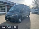 Fiat Ducato Maxi 35 L3H2 Automatik AHK RüKa CarPlay - Fiat Ducato Neuwagen