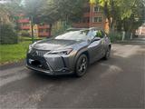 Lexus UX 250h Launch Edition  - Lexus Gebrauchtwagen in Essen