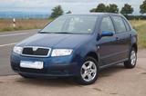 Skoda Fabia Ambiente 1.9 TDI +Klima+AHK+ - Skoda Fabia mit Diesel-Antrieb: 1.9