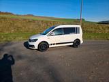 Volkswagen vw caddy bj 2019 102ps tdi lkw zulassung v... - Volkswagen Caddy: Lkw Zulassung