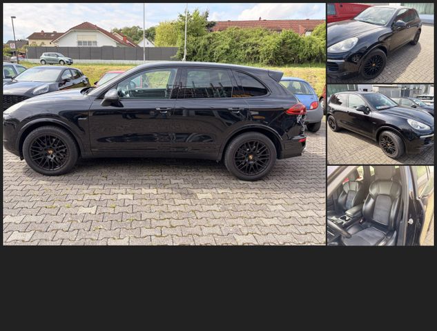PORSCHE Cayenne 3.0 D V6 Platinum Edition 1. Hd. 20 Zoll