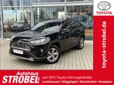Toyota RAV 4 2.5 4x2 Hybrid Team Deutschland *AHK* - Toyota RAV 4 aus 2022