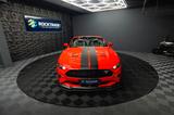 Ford Mustang Shelby GT California Special PREMIUM LED - Ford Mustang: Special
