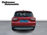 Ford Kuga TitaniumX 1.5 150PS Navi Kamera SHZ PDC LED - Ford: Pickup, 150