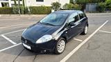 Fiat Punto Evo 1.4 8V Racing | Klima | TÜV NEU - Fiat Punto Evo Racing mit Benzin-Antrieb