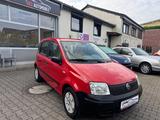 Fiat Panda 1.1 8V Active*78.064 Km*Neue Inspektion* - Fiat Panda Gebrauchtwagen in Duisburg